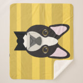 Boston Terrier Sherpadecke (Vorderseite)