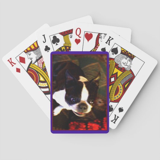 Boston Terrier spielt Karten Spielkarten (Rückseite)
