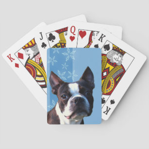 Boston Terrier spielt Karten Spielkarten