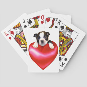 Boston Terrier spielt Karten Spielkarten