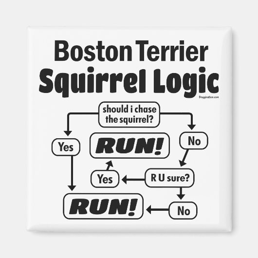 Boston Terrier Squirrel Logic Magnet (Vorne)