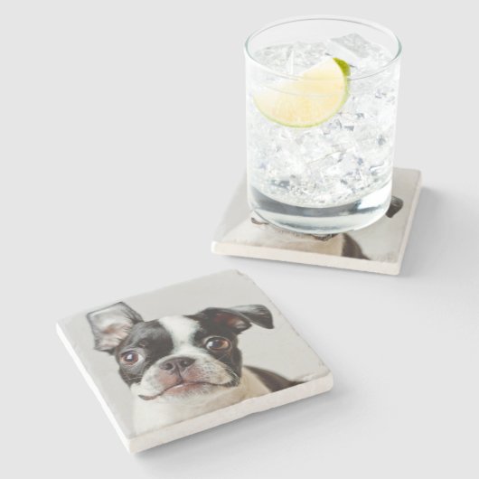 Boston Terrier Steinuntersetzer (Seitenansicht)