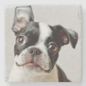 Boston Terrier Steinuntersetzer (Vorderseite)