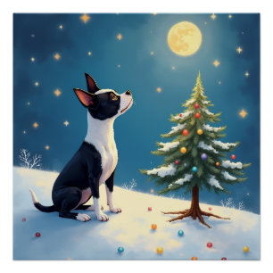 Boston Terrier Sternengucker-Weihnachten Poster