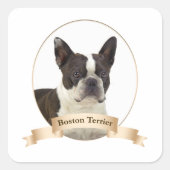 Boston Terrier Stickers (Vorderseite)