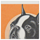 Boston Terrier Stoff (Nahaufnahme)
