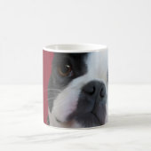 Boston Terrier Tasse (Mittel)