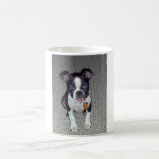 Boston-Terrier-Tasse Kaffeetasse