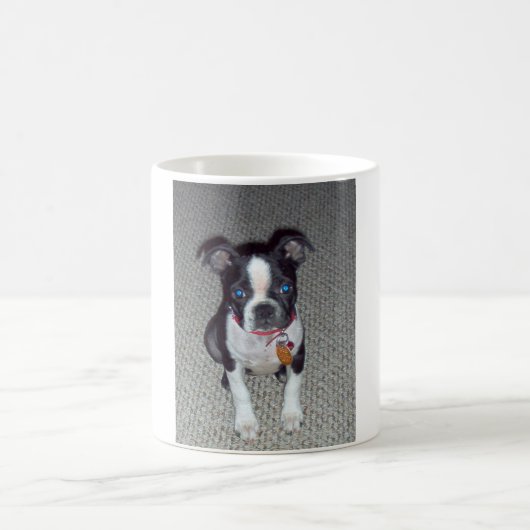 Boston-Terrier-Tasse Kaffeetasse (Mittel)