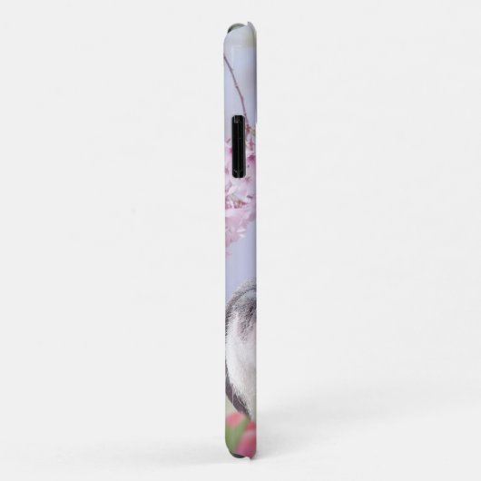 Boston Terrier Telefon 11 Fall Case-Mate iPhone Hülle (Hinten/Rechts)