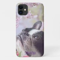 Boston Terrier Telefon 11 Fall