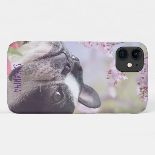 Boston Terrier Telefon 11 Fall Case-Mate iPhone Hülle (Rückseite (Horizontal))