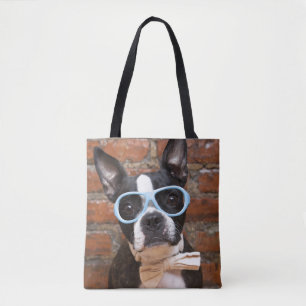 Boston-Terrier-tragende Sonnenbrillen und eine Tasche