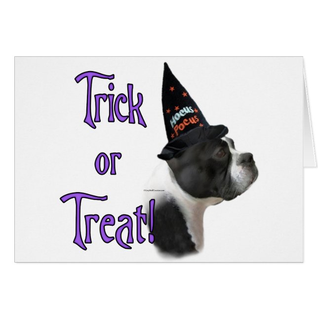 Boston Terrier Trick (Vorderseite (Horizontal))
