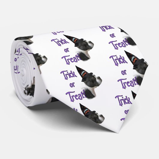 Boston Terrier Trick Krawatte (Gerollt)