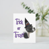 Boston Terrier Trick Postkarte (Stehend Vorderseite)