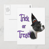 Boston Terrier Trick Postkarte (Vorne/Hinten)