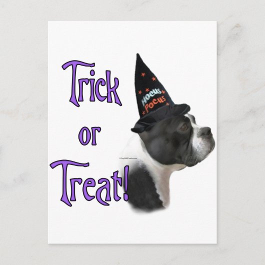 Boston Terrier Trick Postkarte (Vorderseite)