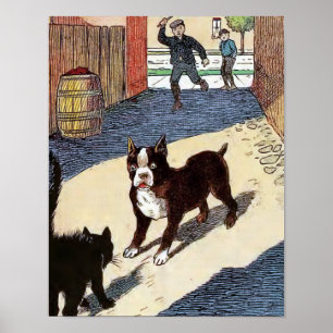 Boston Terrier trifft Katze Poster