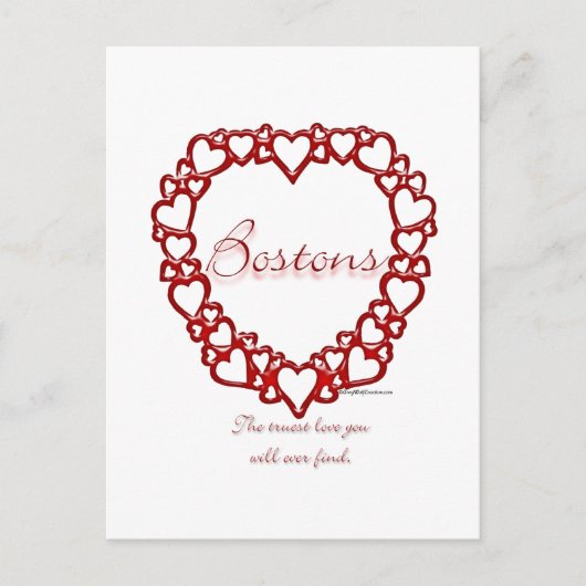 Boston Terrier True Love Postkarte (Vorderseite)