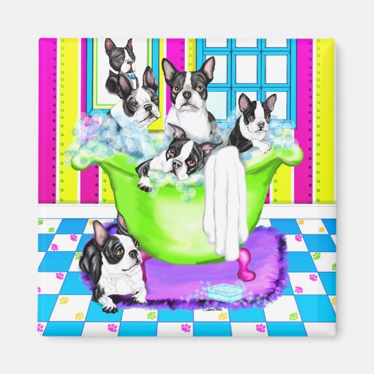 Boston Terrier Tub Full Magnet (Vorne)
