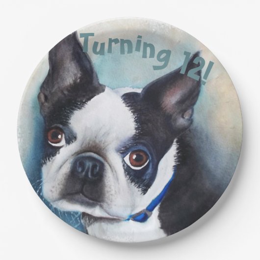 Boston Terrier Turning 12 PARTY Pappteller (Vorderseite)