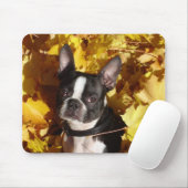 Boston-Terrier umgeben durch Herbstlaub Mousepad (Mit Mouse)