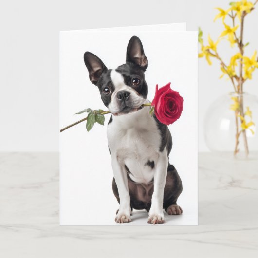 Boston Terrier Valentine – Dapper Love Karte (Gelbe Blume)