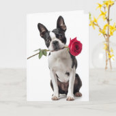 Boston Terrier Valentine Karte (Gelbe Blume)