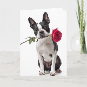 Boston-Terrier-Valentinstag – Elegante Liebe Karte