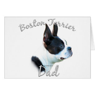 Boston Terrier Vater 2