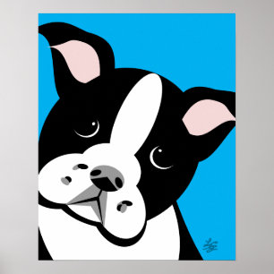 Boston Terrier Vector Portrait Poster