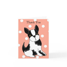 Boston Terrier Vielen Dank