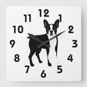Boston Terrier Wall Clock Quadratische Wanduhr