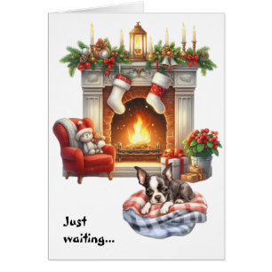 Boston Terrier wartet auf Weihnachten