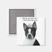 Boston Terrier: Was Gemein du "Nein"? Magnet (Vorderseite/Rückseite)