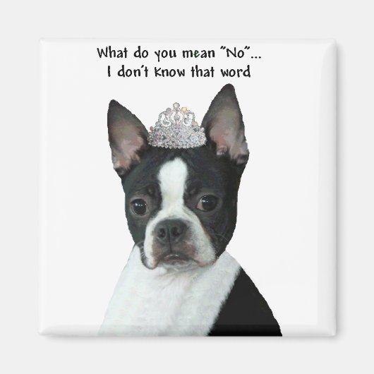 Boston Terrier: Was Gemein du "Nein"? Magnet (Vorne)