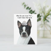 Boston Terrier: Was Gemein du "Nein"? Postkarte (Stehend Vorderseite)