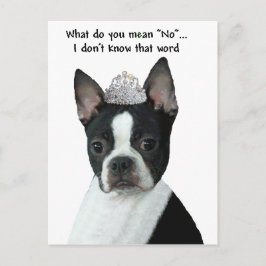 Boston Terrier: Was Gemein du "Nein"? Postkarte