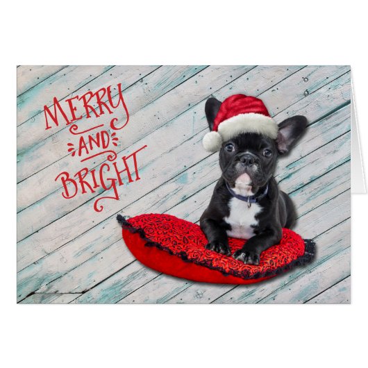 Boston Terrier Weihnachtsmannmütze Weihnachtskarte (Vorderseite (Horizontal))