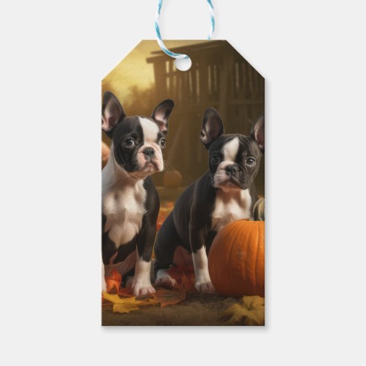 Boston Terrier Welpe Autumn Delight Pumpkin Geschenkanhänger (Vorderseite)