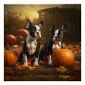 Boston Terrier Welpe Autumn Delight Pumpkin Poster (Vorderseite)