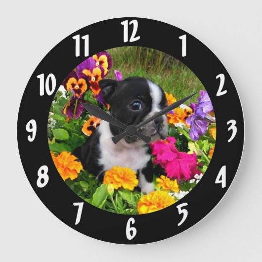 Boston Terrier Welpe Große Wanduhr (Vorderseite)