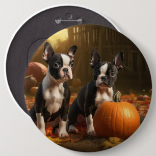 Boston Terrier Welpe Herbstfreude Kürbis Button