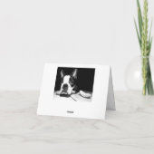 Boston Terrier Welpe Hund Blank Notecard Karte (Rückseite)