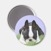 Boston Terrier Welpe Magnet (Vorderseite/Rückseite)