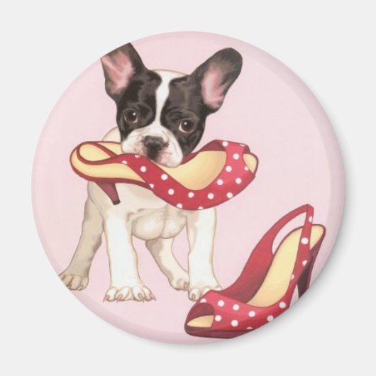 Boston Terrier Welpe mit Schuhen Magnet (Vorne)