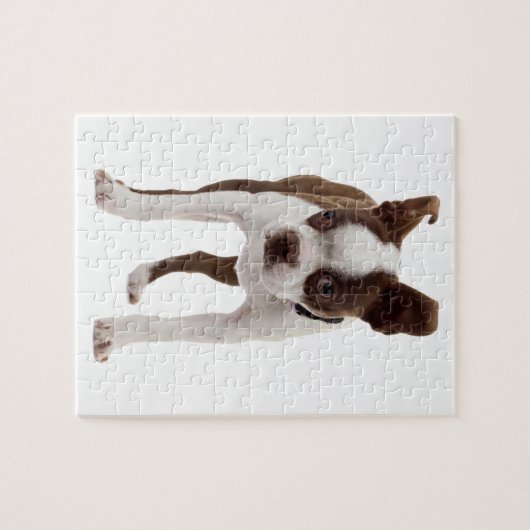 Boston Terrier Welpe Puzzle (Horizontal)