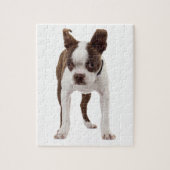 Boston Terrier Welpe Puzzle (Vertikal)