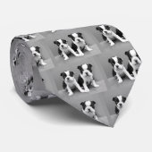 Boston-Terrier-Welpen-Krawatte Krawatte (Gerollt)